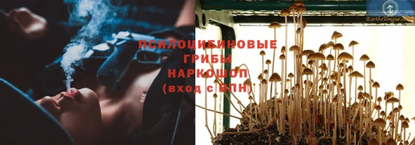 mdpv Зеленодольск