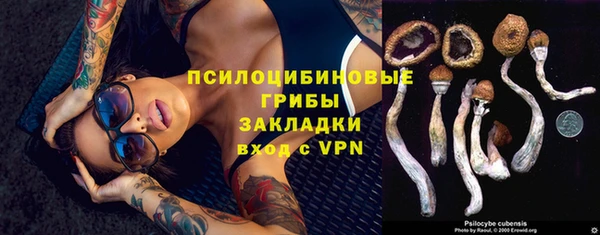 mdpv Зеленодольск