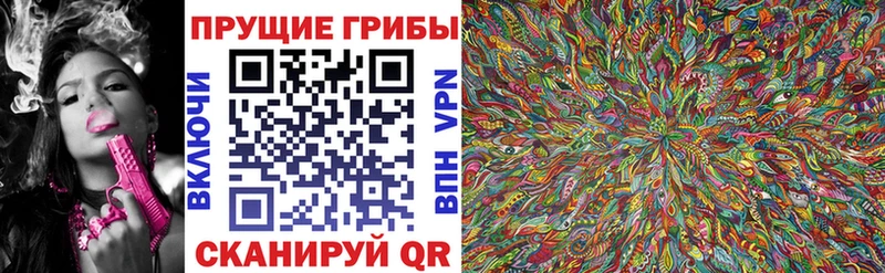 Галлюциногенные грибы мицелий  Купить закладки  Донецк 